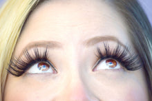 Cargar imagen en el visor de la galería, Cotton Candy Dreams Eyelash Collection by Timoi